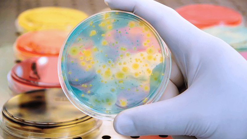 上海实验室耗材分类大全：揭秘实验室必备的“百宝箱”**