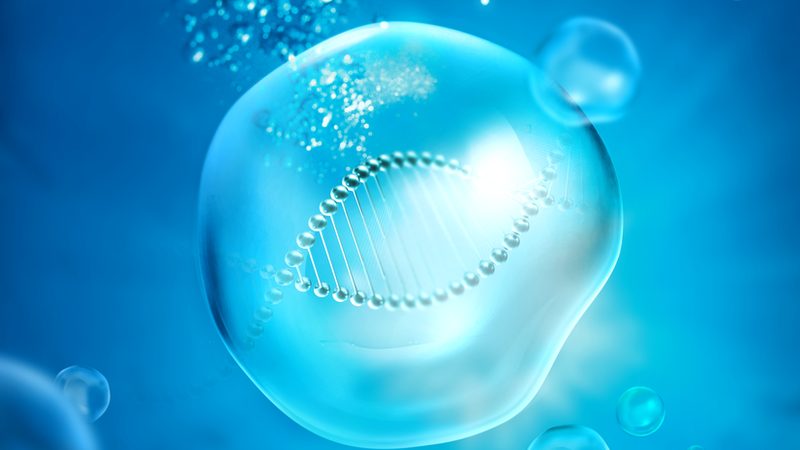 北京高校分子生物学试剂采购，如何规避误区**