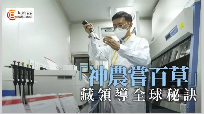 解码遗传病：基因检测方法的技术原理探秘**