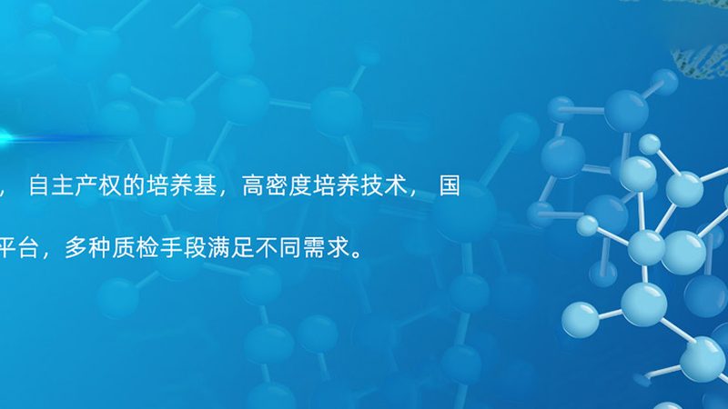 PCR实验室建设：预算构成与关键考量