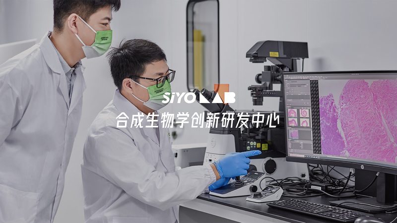 PCR检测定制服务：揭秘定制化背后的关键考量