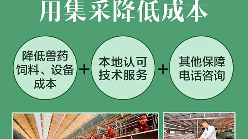 引物合成定制，价格背后的考量因素