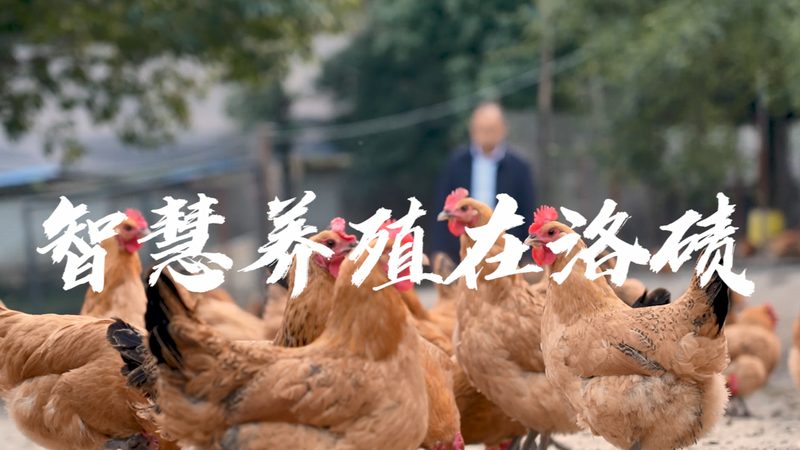 生物医药CDMO排名背后，藏着哪些行业真相